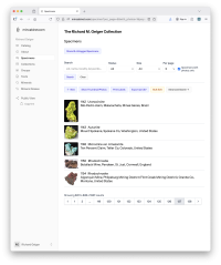 Scene Search